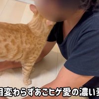 顎ヒゲにスリスリ