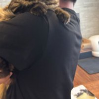 男性に抱かれる猫