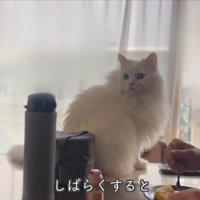 テロップ「しばらくすると」