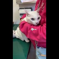 やー
