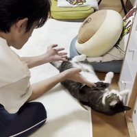 猫と男性