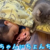 寝ている子どもと猫