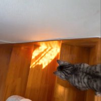 一緒に階段を降りる