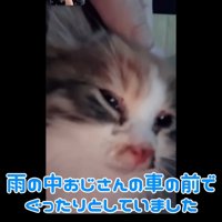 テロップ「雨の中おじさんの～」