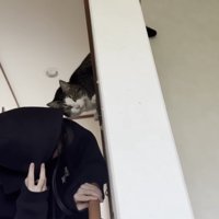 ためらうおでこちゃん