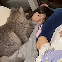 ジッと姉の顔を見る猫（背中ver.）