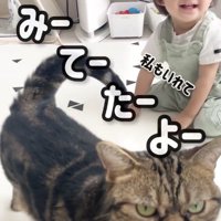 猫に声をかける飼い主