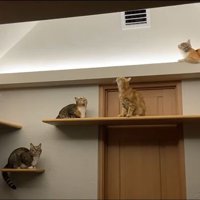 みんなで一点集中