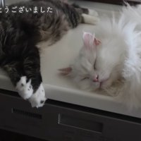 横になるふたり