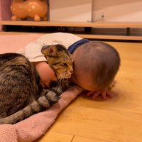 猫に頭を寄せる赤ちゃん