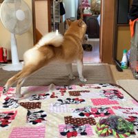 伸びをする後ろ姿