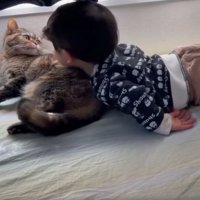 猫と子ども