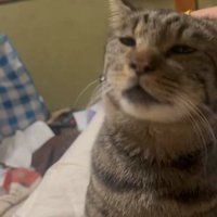 うっとり顔の凛太郎くん