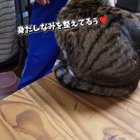 机の上に座って耳をかいている猫「身だしなみを整えてるぅ♡」