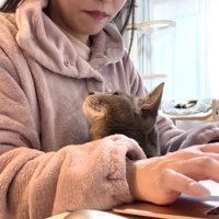 飼い主さんのチラ見