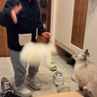 ぬいぐるみを放り投げる女の子