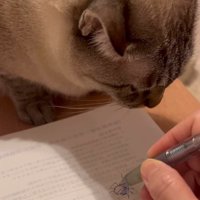 ノートに虫の絵を描く飼い主