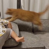 赤ちゃんの横でジャンプ