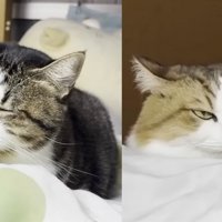 ふたりが写っている写真