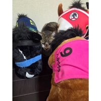 猫と馬のぬいぐるみ