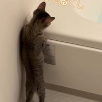 「こっちも届くし」と書かれた写真