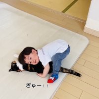 保護猫に覆いかぶさる男の子
