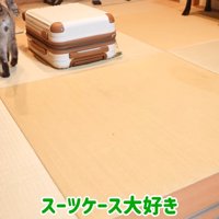 スーツケース大好き