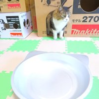 猫の顔の形をしたアルミベッドと長毛猫