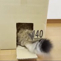 スムーズな入城