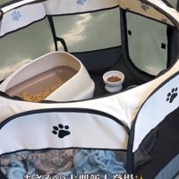 サークルを覗き込む