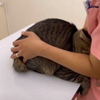 看護師さんに助けを求める