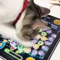 顔を近づける