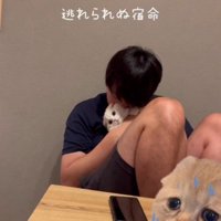座った体勢で猫を抱きしめる男性