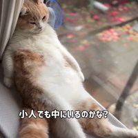 「小人でも～」と書かれた写真
