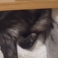椅子の肘掛け