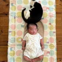 寝ている赤ちゃんと猫