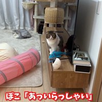 あっいらっしゃい