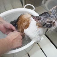 目を細めた表情