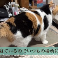 テロップ「父はまだ寝ているので～」