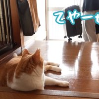 玄関で見送るチャチャ君