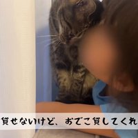 おでこ貸してくれます