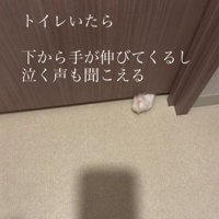 ドアの下から手を出す猫