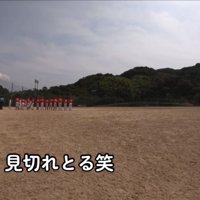 見切れている子猫