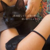 女の子にアゴを撫でられる黒猫