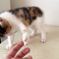 保護主さんと握手