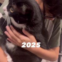 猫を抱っこしている男の子