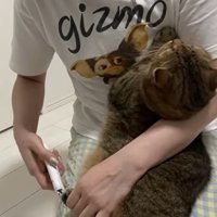 飼い主さんとの攻防戦