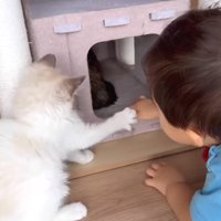 赤ちゃんの手を止めて