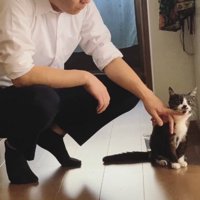しゃがんだお兄ちゃんになでられるきいちゃん