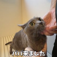「パパ来ました」のテロップ写真